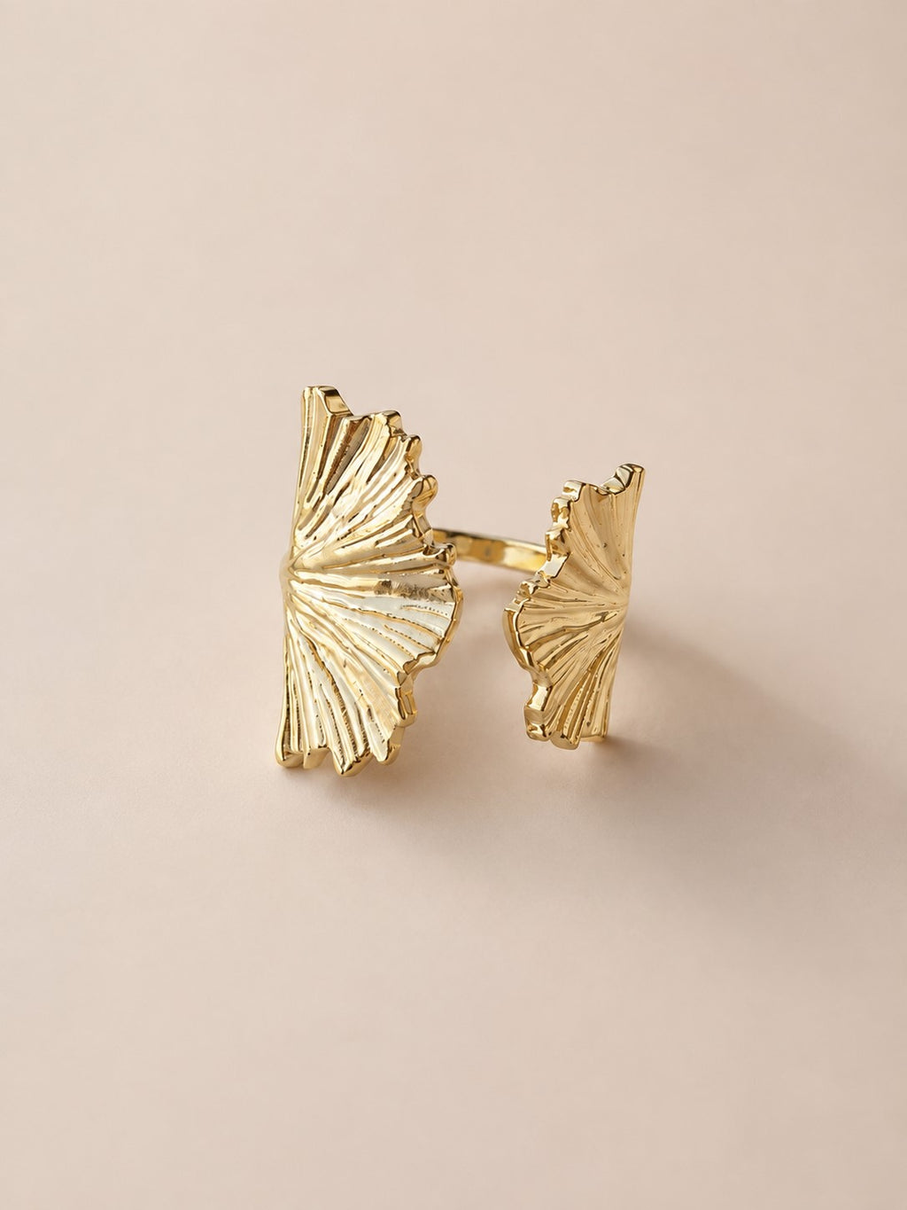 Anillo Doble hoja